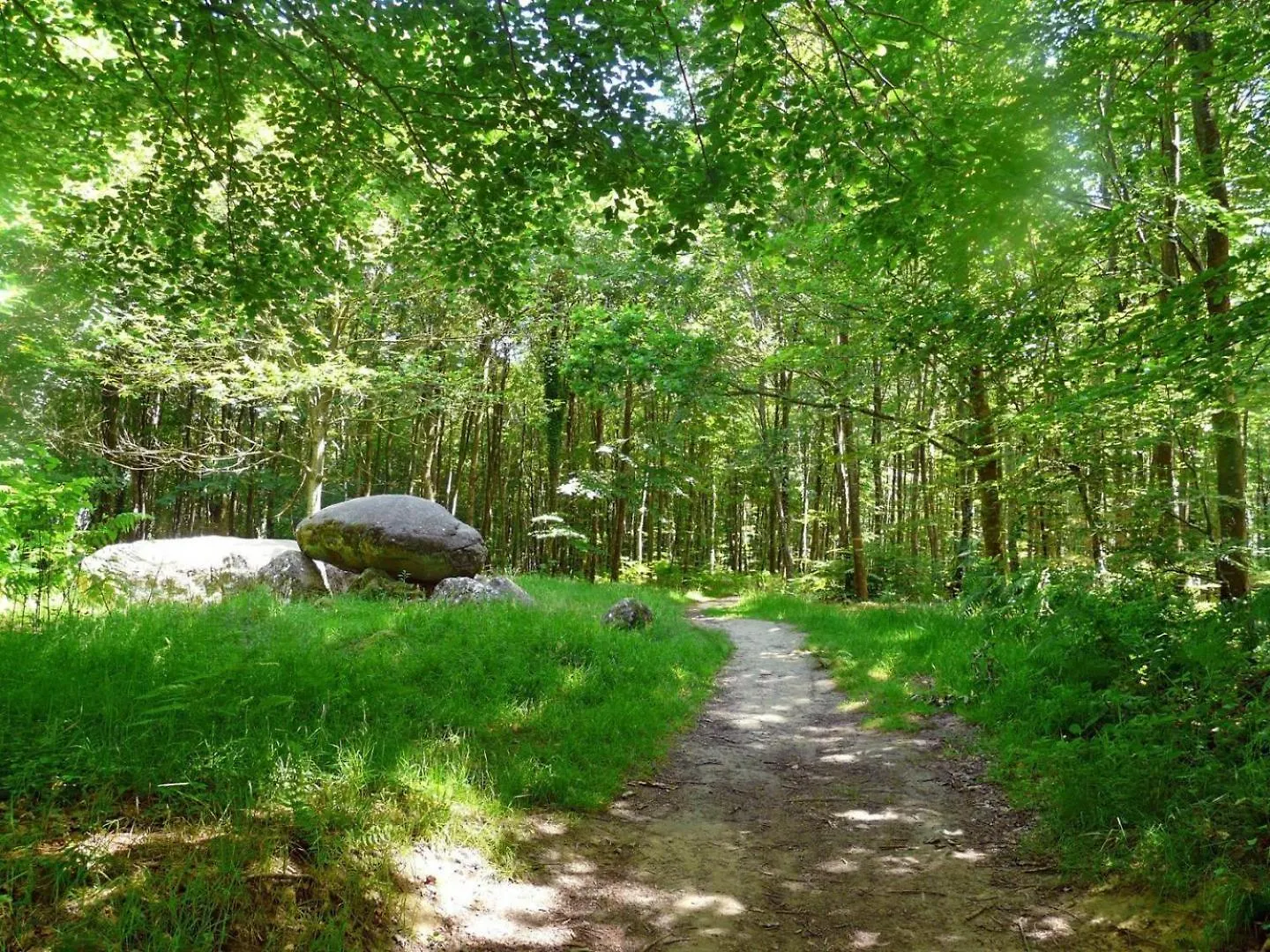 Des Alleux Saint-Ouen-des-Alleux 0*,  França